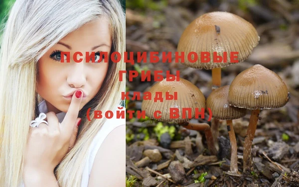 бутират Волосово