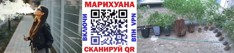 Купить закладки  Удомля  Бошки марихуана индика 